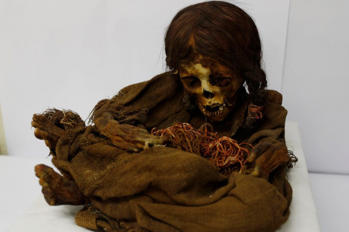 Momia de la niña inca.
