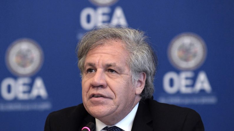 Luis Almagro, secretario general de la Organización de Estados Americanos (OEA).)