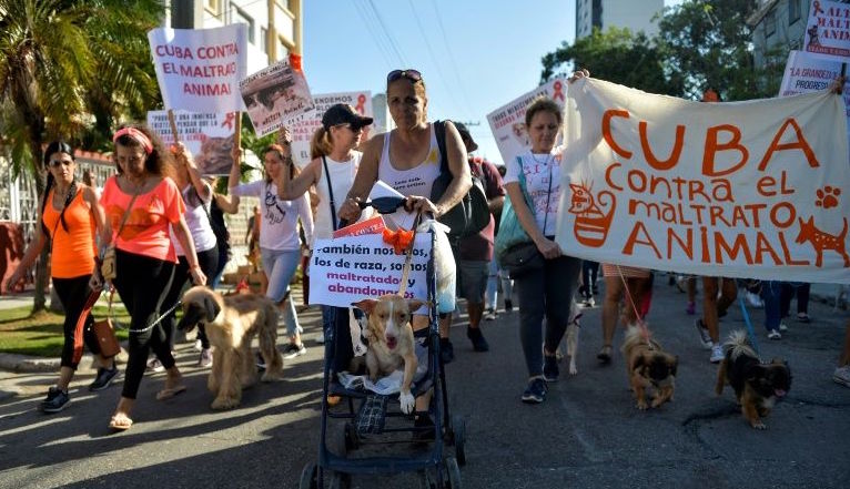 Marcha contra el maltrato animal en La Habana.