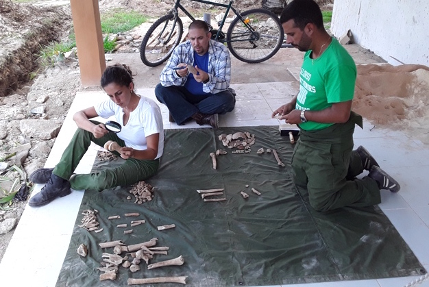 Examen de los restos hallados en Playa Girón.