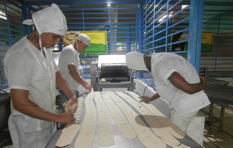 Obreros en uno de los 11 'polígonos de producción de alimentos' en Santiago de Cuba. 