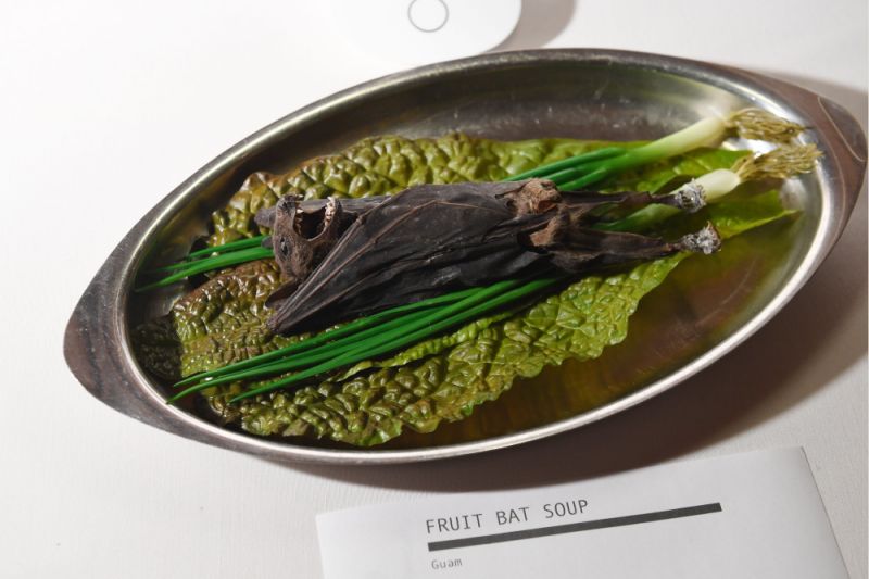 Una sopa de murciélago en el Museo de Alimentos Asquerosos de Los Ángeles.