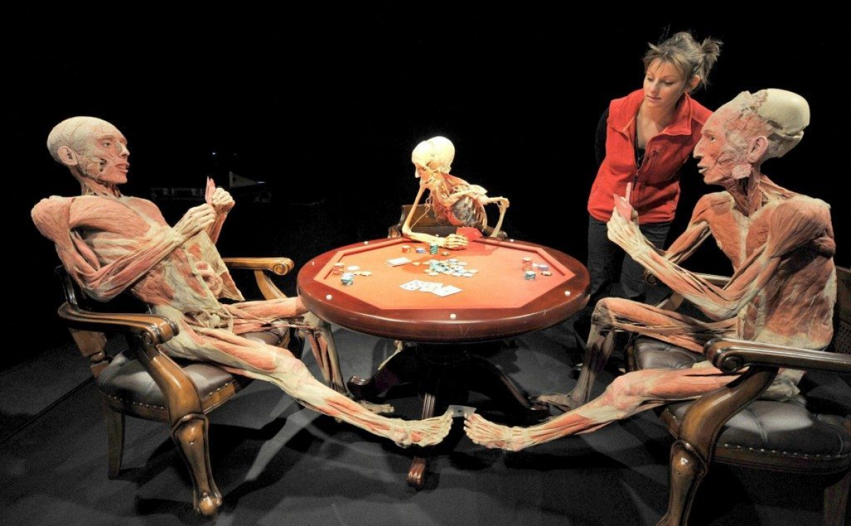 Cadáveres 'plastificados': la nueva atracción museográfica de Berlín | DIARIO DE CUBA