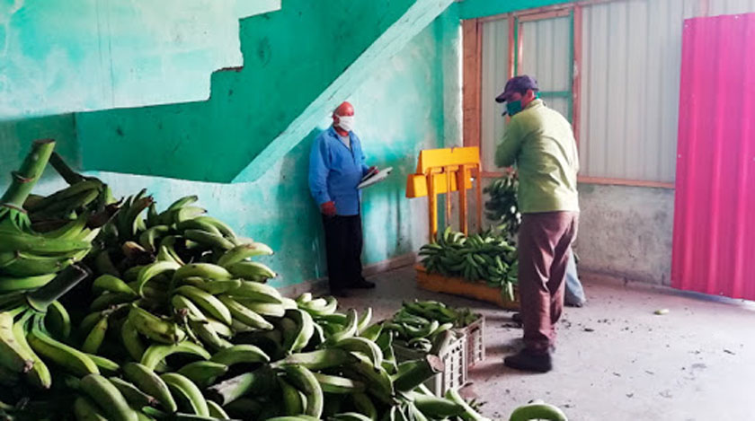 Almacén de alimentos en la provincia de Pinar del Rio.