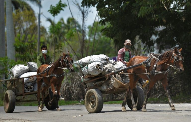 Dos coches de caballo en Cuba.