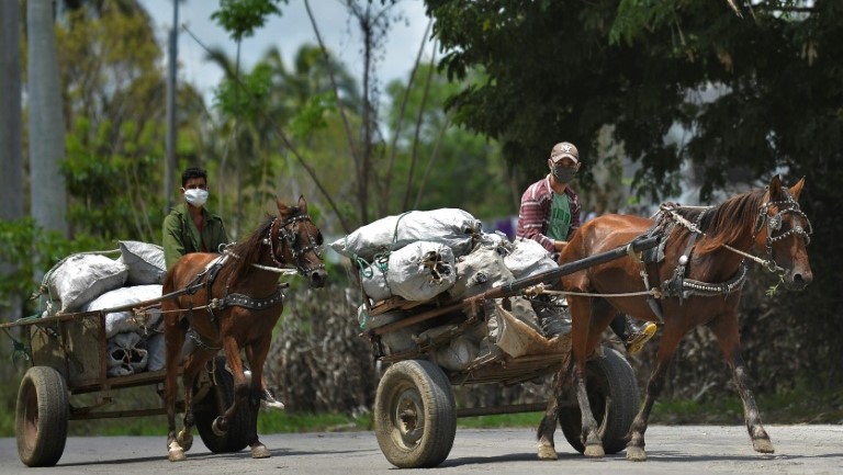 Dos carretones transportan carbón en Cuba.