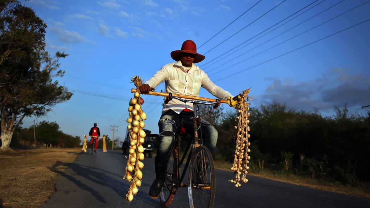 Vendedores de cebollas y ajos en una carretera de Pinar del Río.