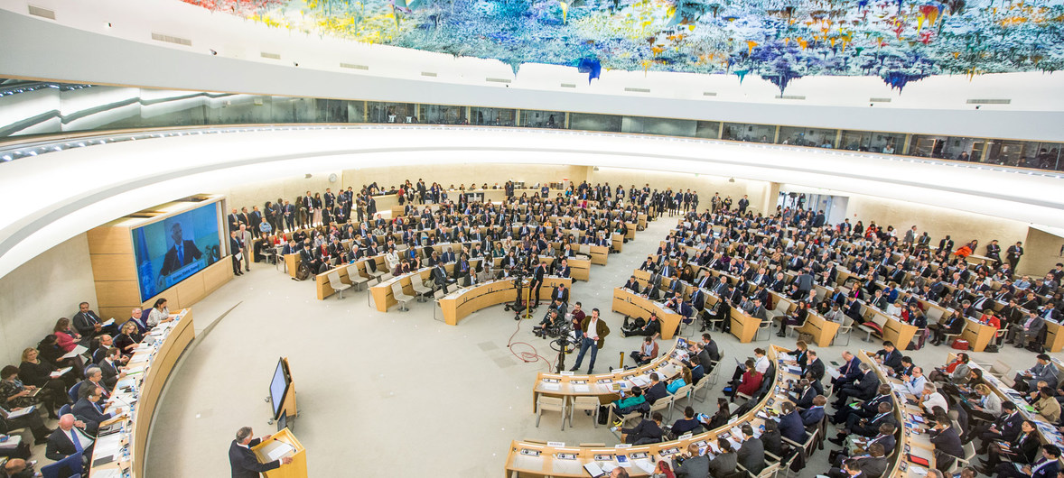 Consejo de los Derechos Humanos de la ONU.
