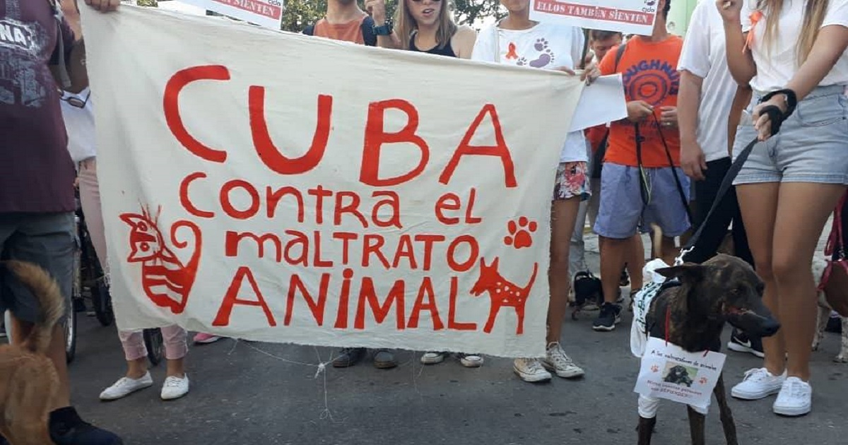 Marcha de animalistas en La Habana en 2019.