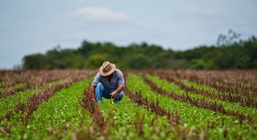 Un agricultor cubano.