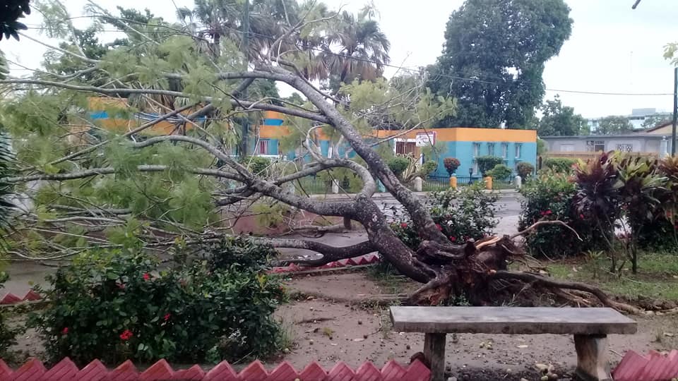 Afectaciones en San Juan Y Martínez, Pinar del Río, tras el paso de la tormenta.