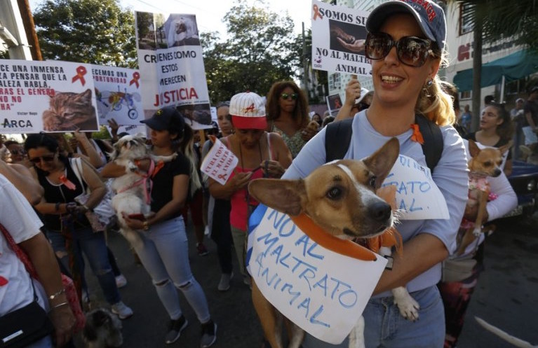 Marcha contra el maltrato animal en La Habana en abril de 2019.
