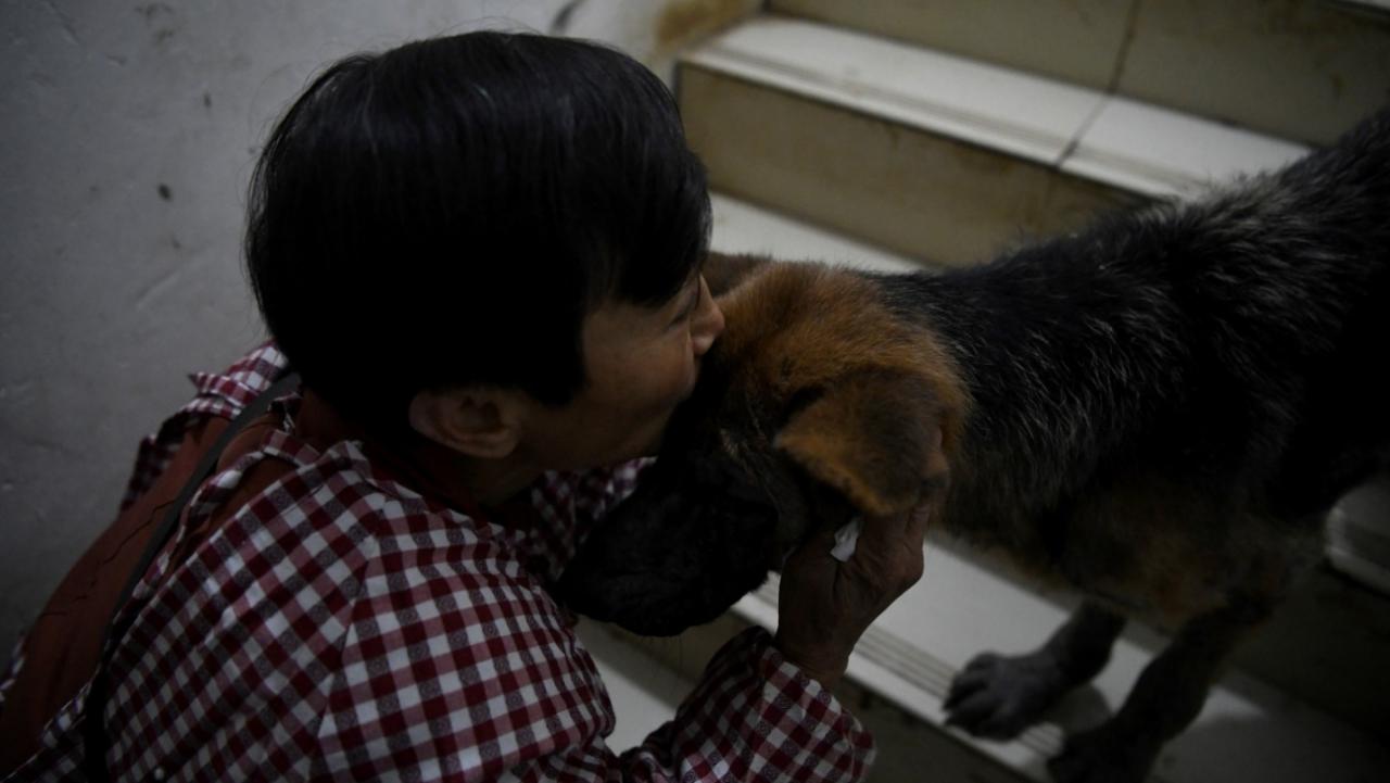 Weng Junhong besa a uno de los más de 1.300 perros.