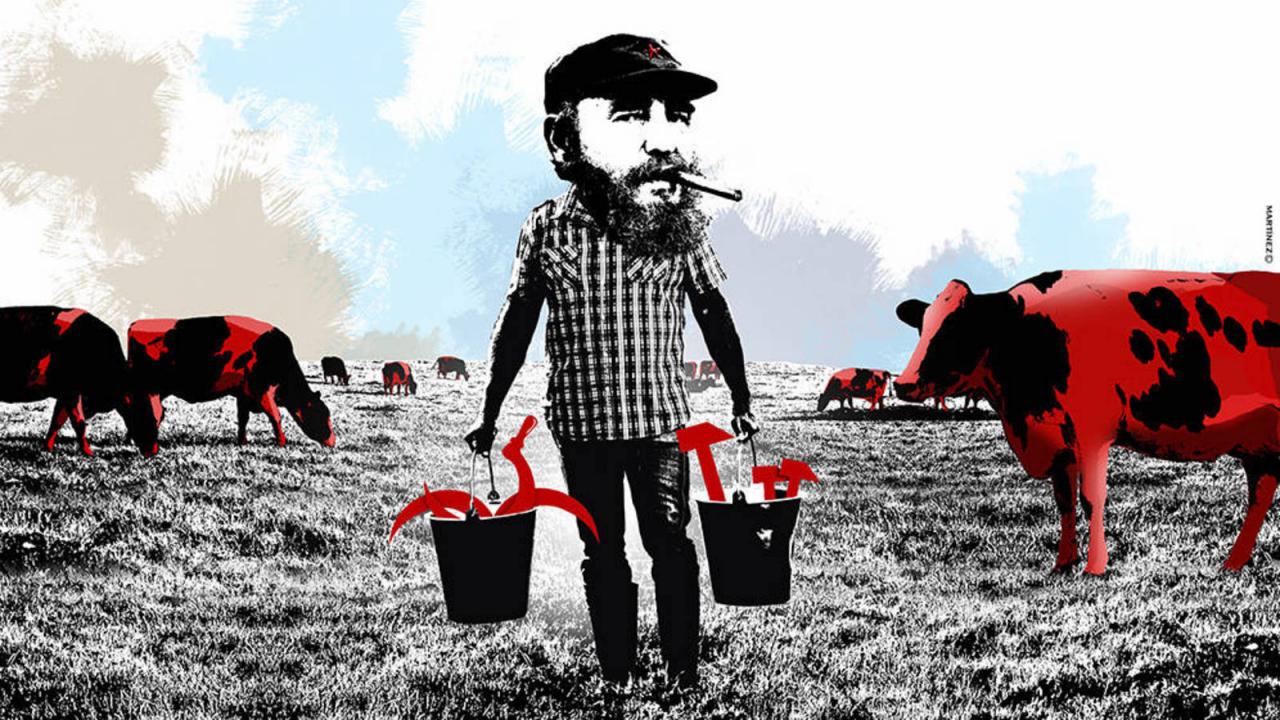 Ilustración. Fidel Castro y las vacas.