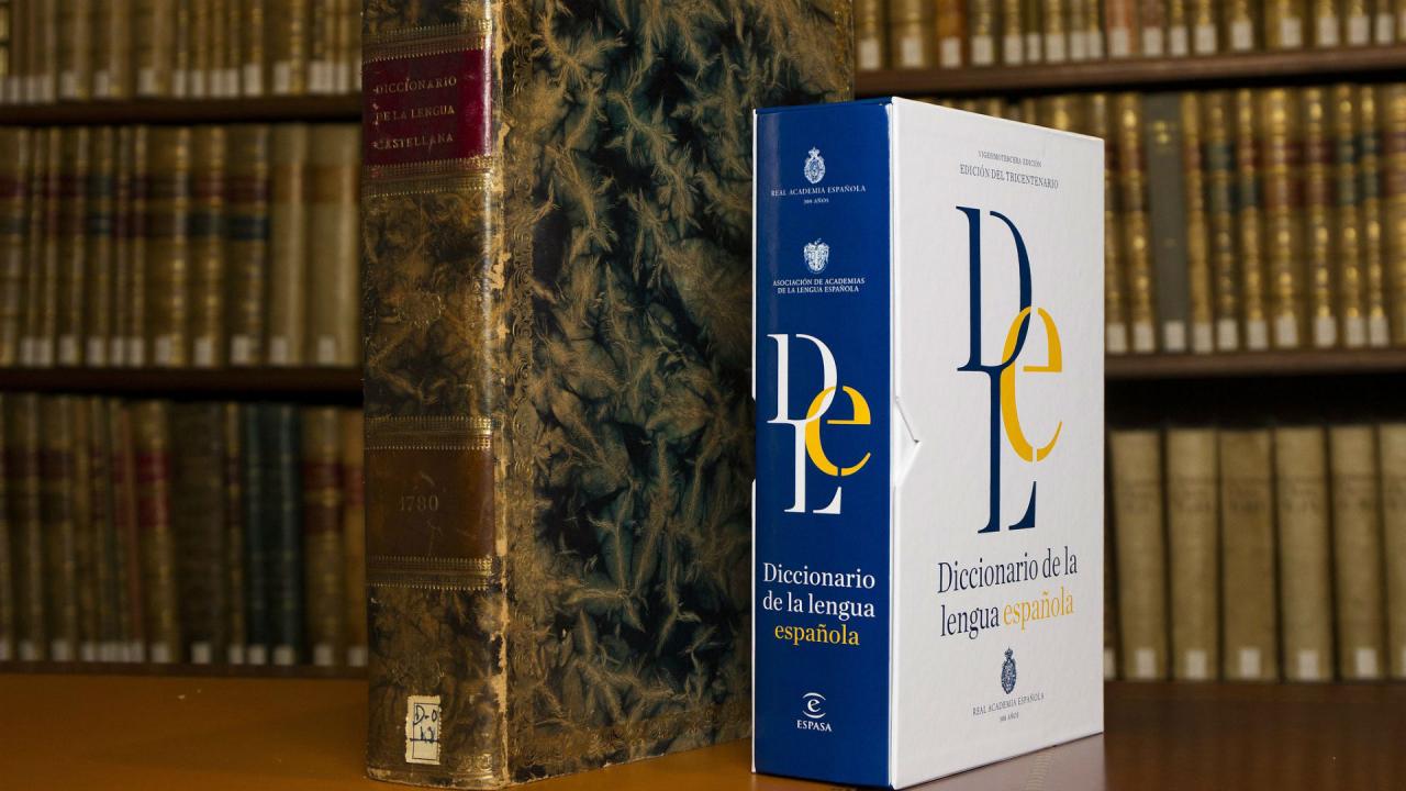 El diccionario de la Lengua Española.