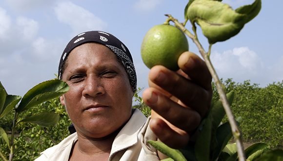 Una campesina cubana muestra un limón.