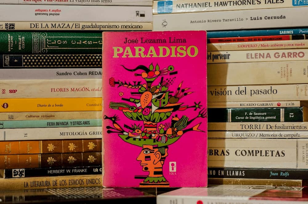 Un ejemplar de la edición mexicana de 'Paradiso' de José Lezama Lima.