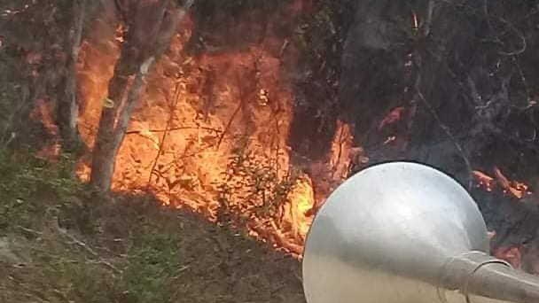 Incendio en el Parque Nacional Alejandro de Humboldt, Cuba.
