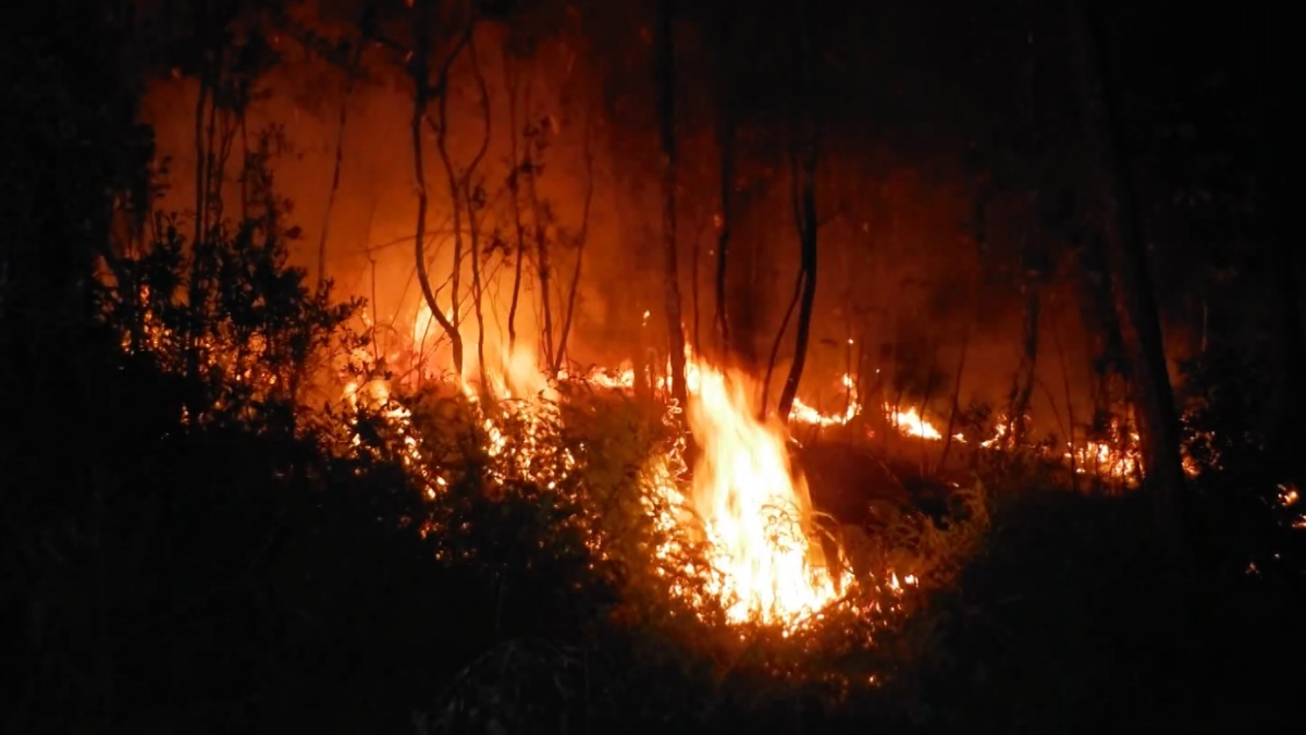 Incendio en el Parque Nacional Alejandro de Humboldt, Cuba.