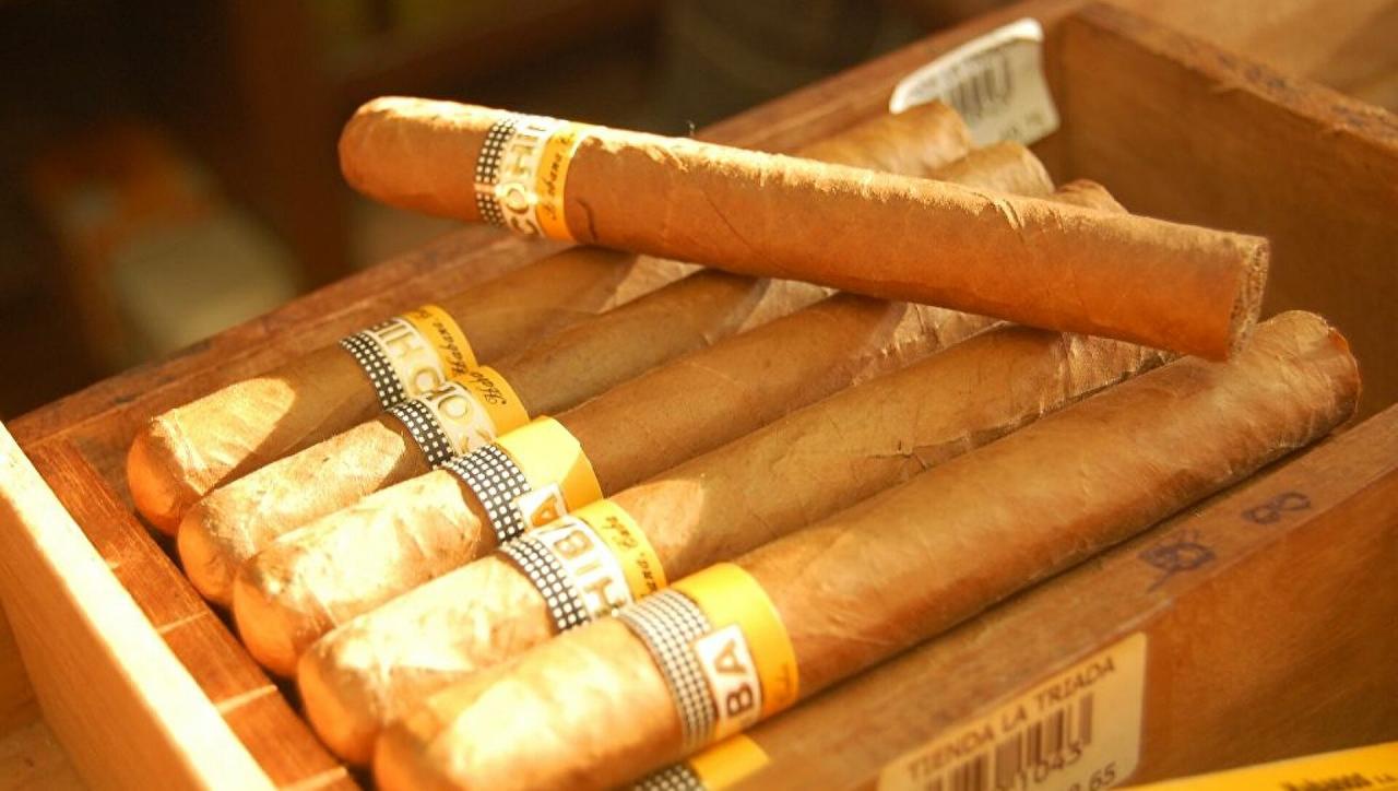 Tabacos cubanos.