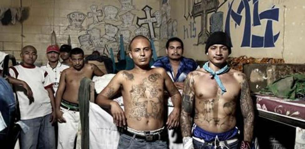 Integrantes de la pandilla Mara Salvatrucha en prisión.