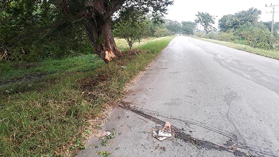 Lugar del accidente con el impacto del automóvil en el árbol.