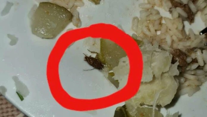 Una cucaracha en un plato de comida supuestamente servido a los estudiantes sudafricanos en Cuba.