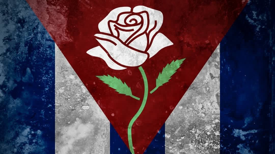 Una bandera cubana con una rosa blanca, símbolo de la marcha del 15N.