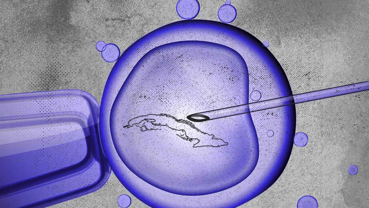 Ilustración sobre la reproducción in vitro en Cuba.