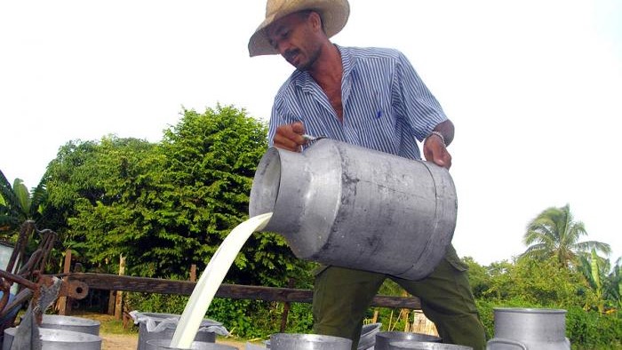 Un productor de leche en Cuba.