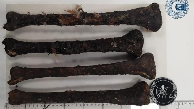 Cuatro tibias humanas encontradas en la tienda de santería de una cubana en Madrid.