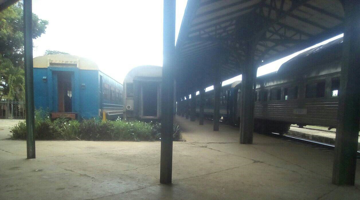 Trenes en una terminal en Ciego de Ávila.