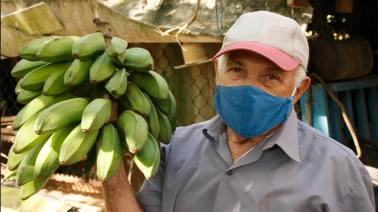 Un hombre sostiene un racimo de plátanos.