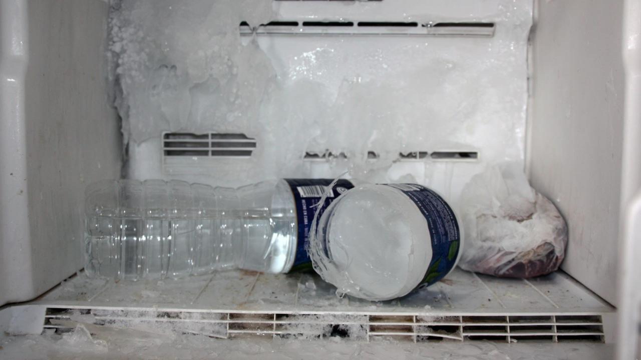 Congelador de un hogar cubano.