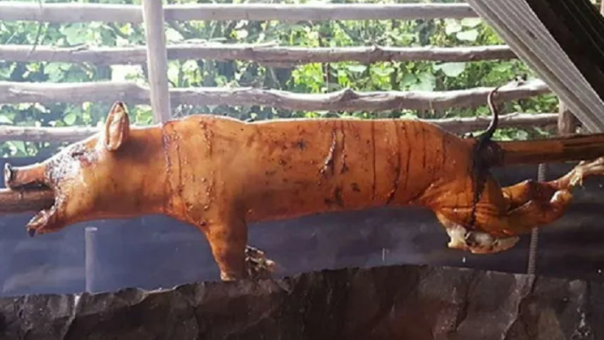 Cerdo asado en púa en Cuba.