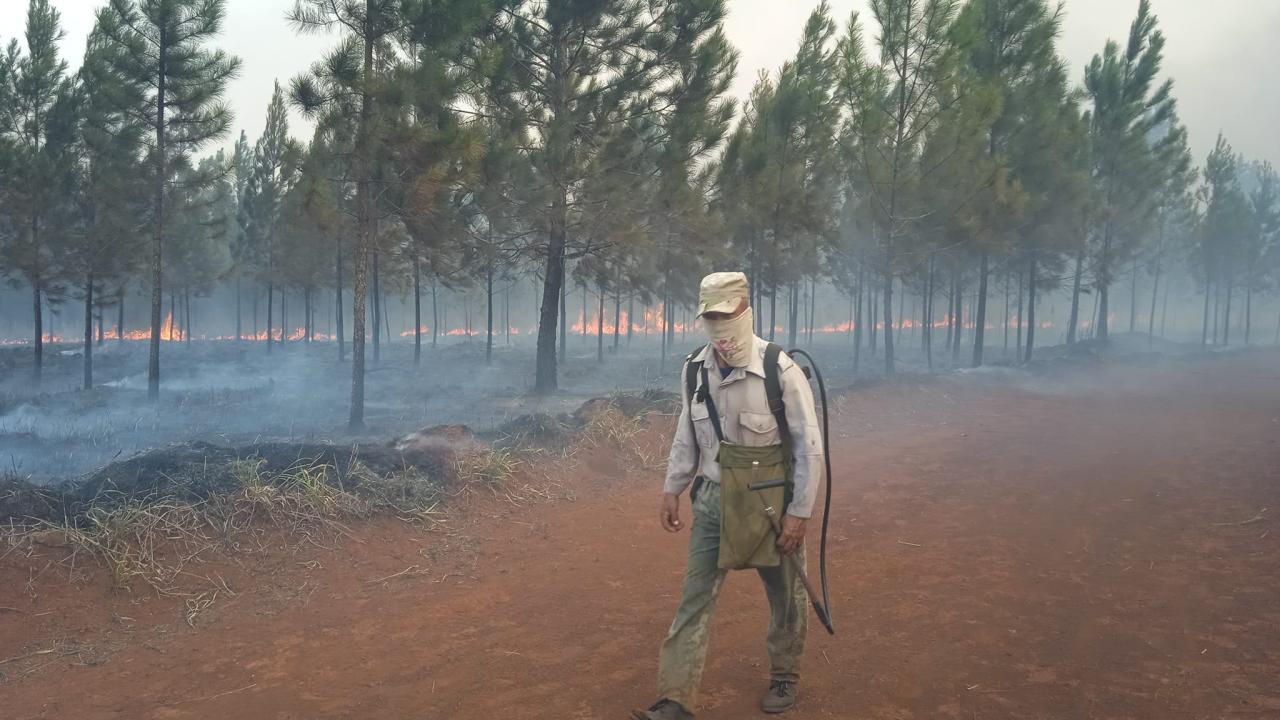 Incendio forestal en Pinares de Mayarí.