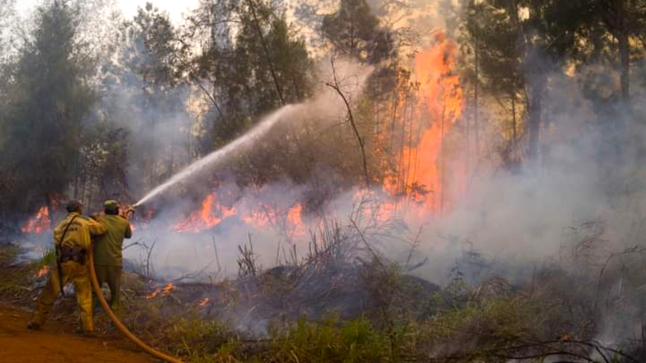 Incendio en Pinares de Mayarí, Holguín.