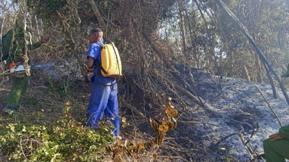 Incendio forestal en Los Palacios, Pinar del Río.