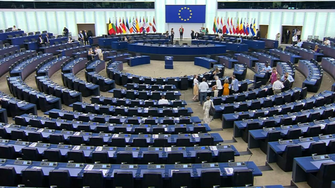 Parlamento europeo. Captura de pantalla.