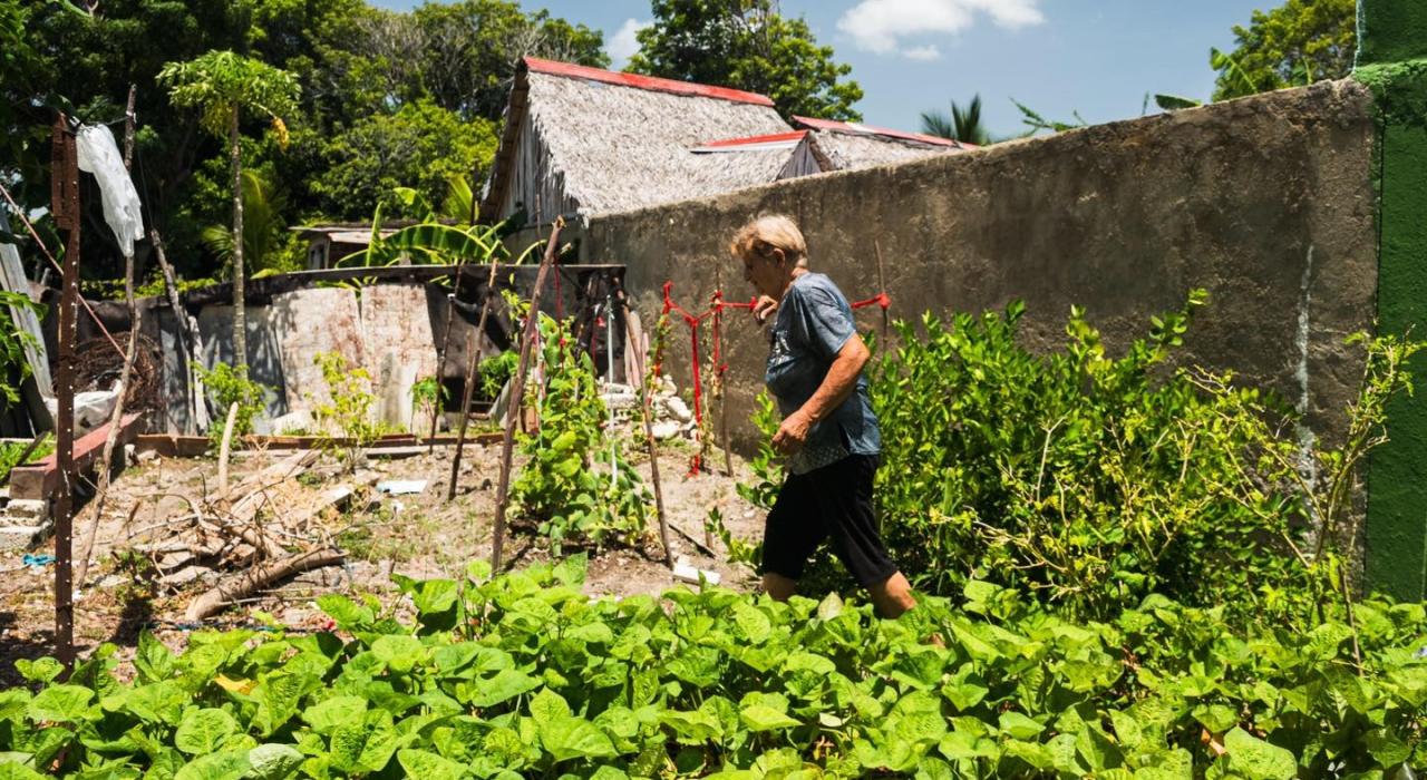Vecina de Nuevitas en Camagüey atiende su huerta.