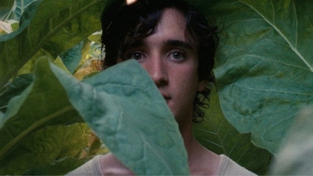 Fotograma de 'Lazzaro felice', 2018.