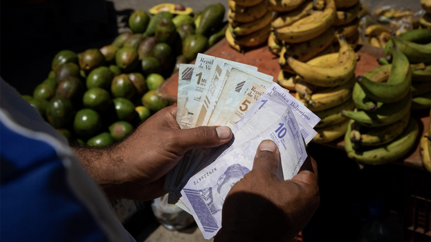 Un hombre sostiene billetes de la moneda venezolana.
