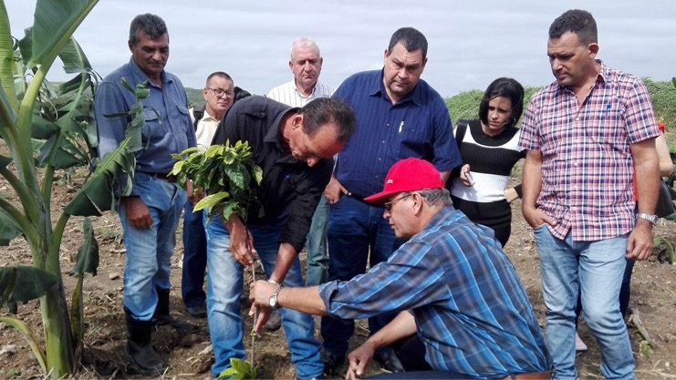 Visita ministerial a un campo de cultivo en Cumanayagua.