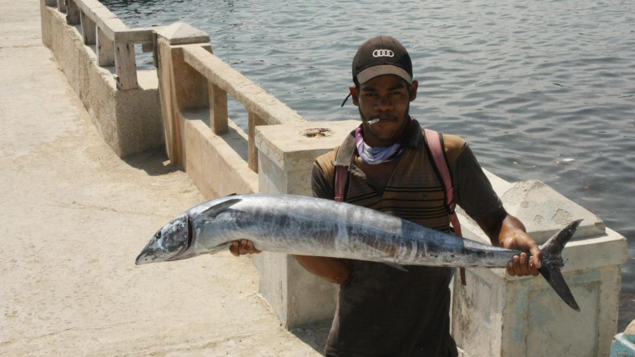 Un cubano muestra el resultado de su pesca.