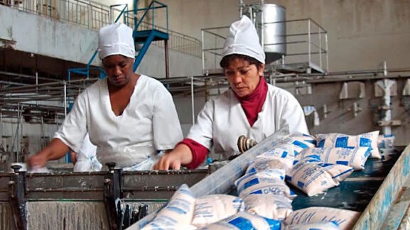 Trabajadoras en un complejo lácteo cubano.