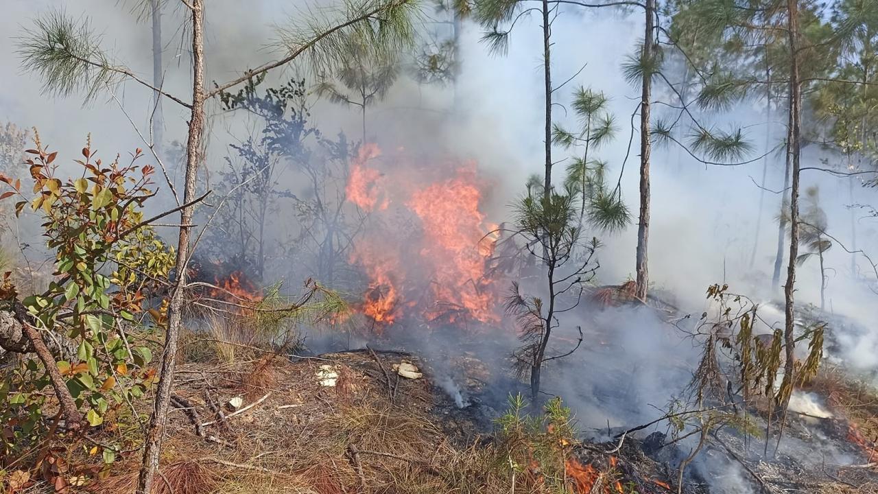 Incendio forestal en Galafre Nuevo en Pinar del Río.