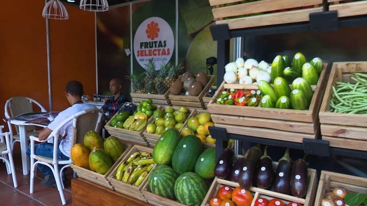 Stand de Frutas Selectas en Expocaribe 2024.