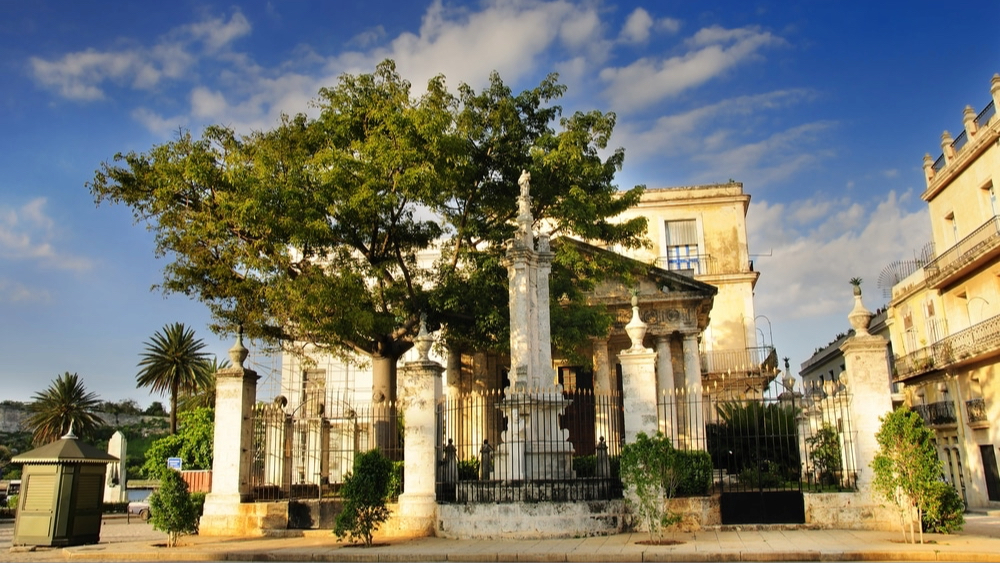 La ceiba en el Templete, Plaza de Armas, La Habana.