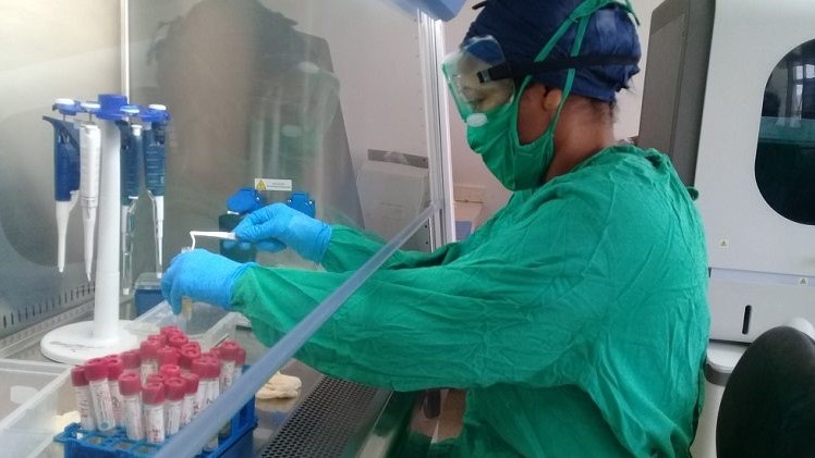 Laboratorio de Biología Molecular y Virología de Santiago de Cuba.