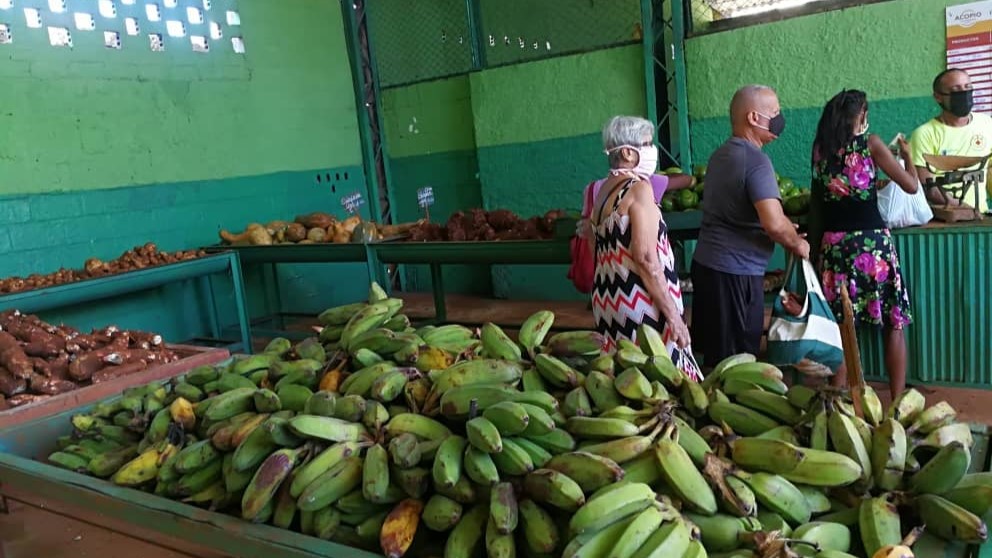 Un puesto de venta de la estatal Acopio.